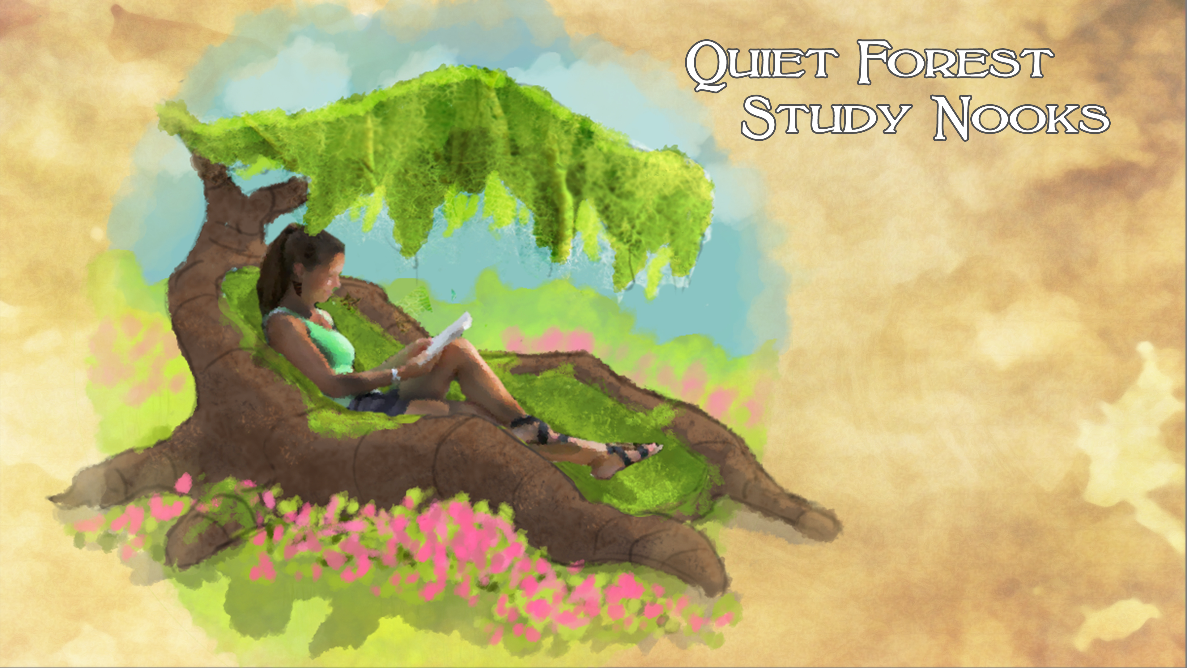 Study Nooks 3